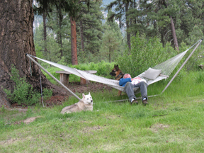 Relaxing in Hammock